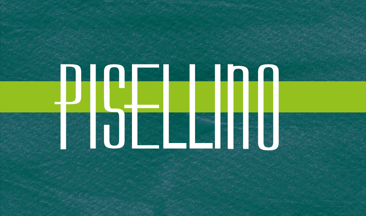 pisellino