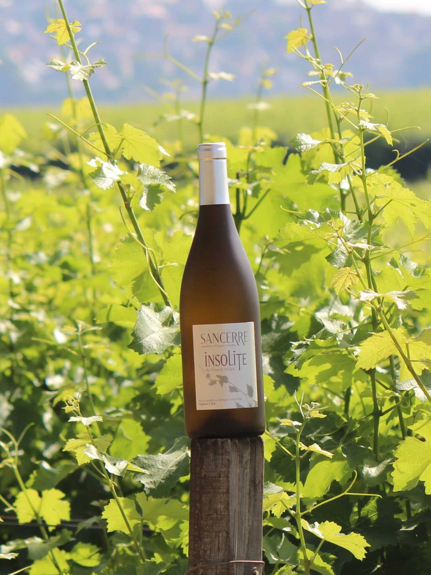 Insolite di Franck Millet: il Sancerre che sceglie la profondità
