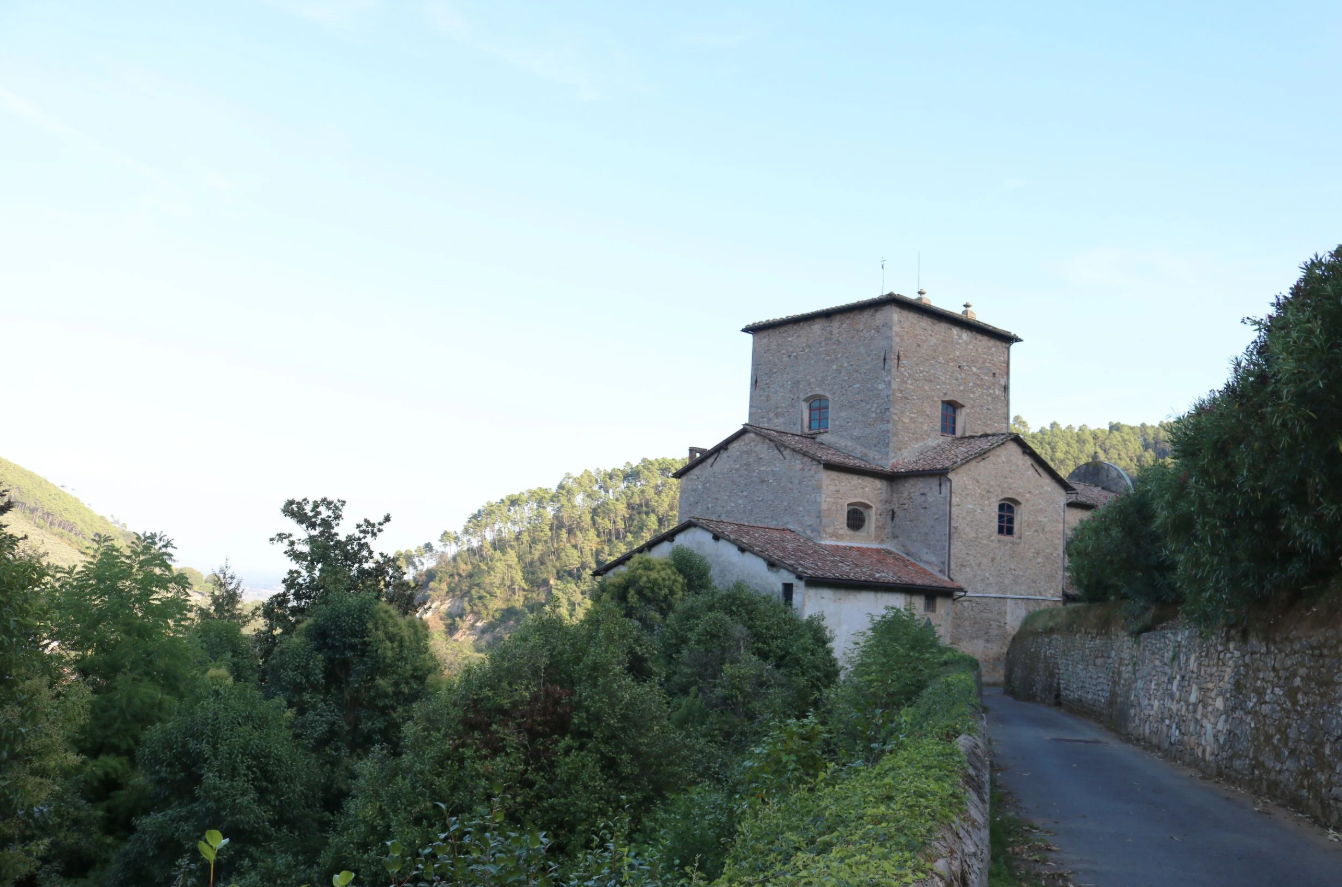 Il tè italiano esiste, e nasce vicino Lucca